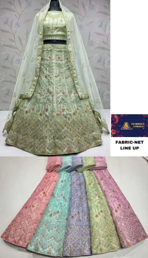 Beautiful net lehenga 